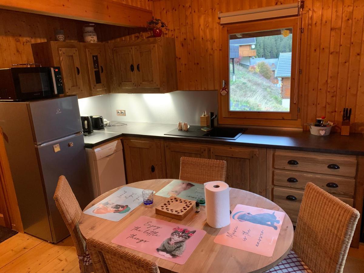 Chalet Proche Morzine Et Lac Leman Wifi Offert Le Biot Buitenkant foto